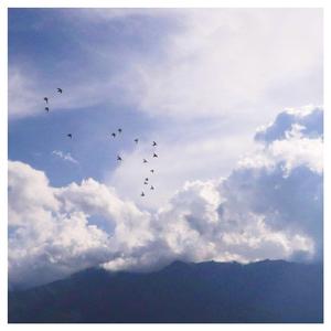 大🐻美女300%棵视频
