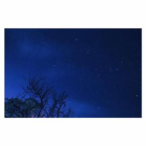 肥老熟妇伦子伦456图片
