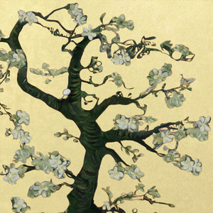 能看阴茎插进阴道里的软件
