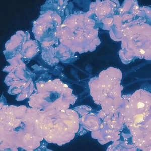 亚洲美女在线视频
