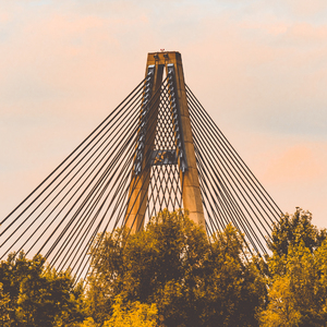 欧美激情无码❌❌❌喷水丝
