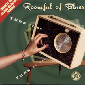 淹川惠里的人物介绍
