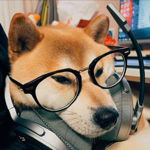 芃芃大人玉足寸止丨VK
