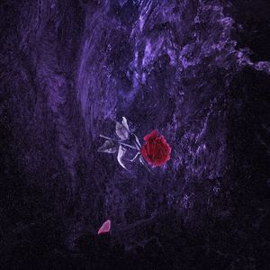 性婬欧美老妇708090片
