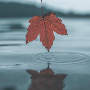 黑哥开发老婆原文阅读
