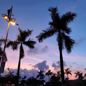 继夫吃嫩草挺进乖乖女
