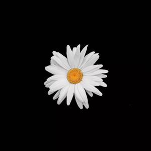 中文字幕亚洲视频
