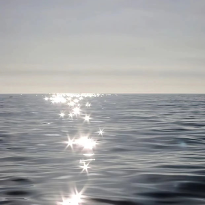 和黑人邻居2做爰
