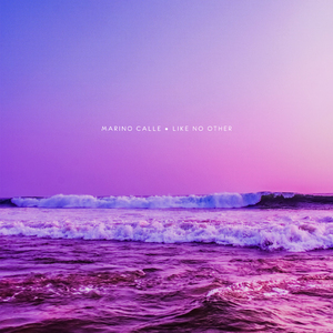 淹川惠里的人物介绍
