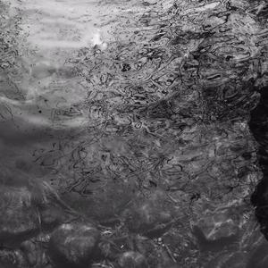 十八禁美女胸黄裸乳网站
