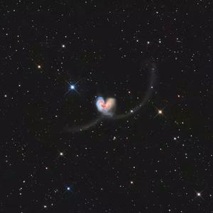 淹川惠里的人物介绍
