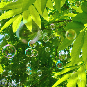 ✡️✡色✡️网✡️站女女
