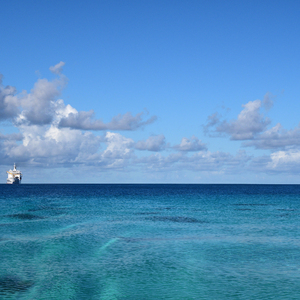 寡妇巨大的荫蒂和奶头
