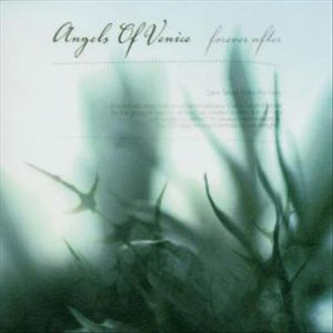 淹川惠里的人物介绍
